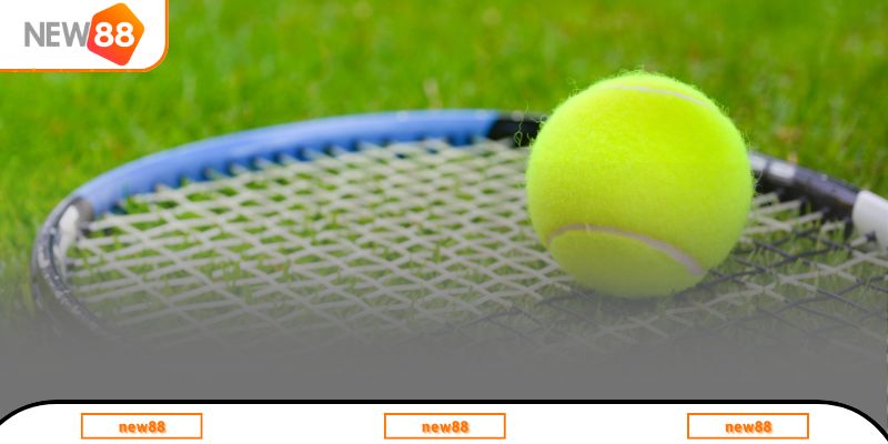 Chiến lược cá độ Tennis thắng lớn từ chuyên gia lâu năm